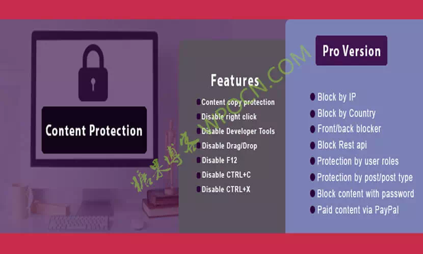 Secure Copy Content Protection – 安全复制内容保护和内容锁定插件汉化版